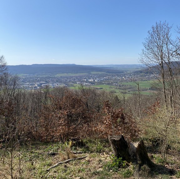 Blick_vom_Bielstein.jpg 